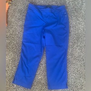 Nice blue capris. Gently worn.